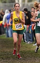 2010NCSXC GD2-2337